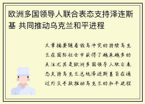 欧洲多国领导人联合表态支持泽连斯基 共同推动乌克兰和平进程