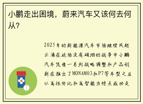 小鹏走出困境，蔚来汽车又该何去何从？